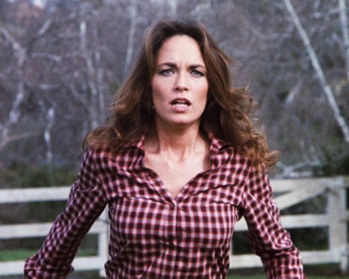 Catherine Bach Dukes Of Hazzard 8x10 Photo Zpy 74