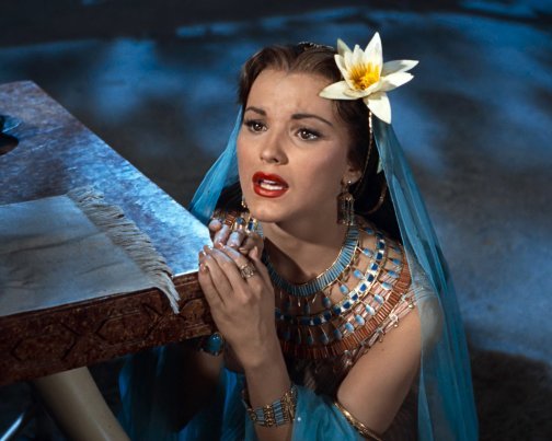 Debra Paget Ten Commandments 8X10 Photo Zse 51