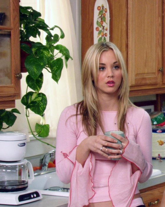 Kaley Cuoco Big Bang Theory 8X10 Photo Zhx 03