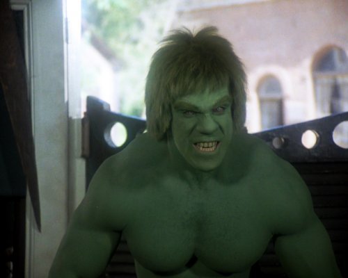 Lou Ferrigno Incredible Hulk 8X10 Photo Zmp 67