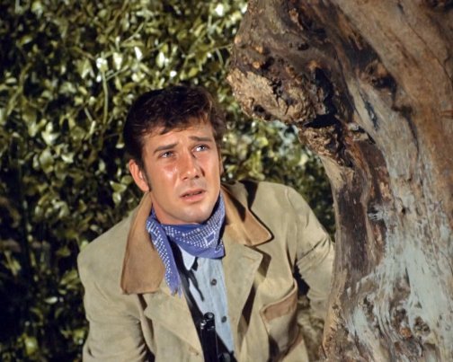 Robert Fuller Laramie 8x10 Photo Zrp 09