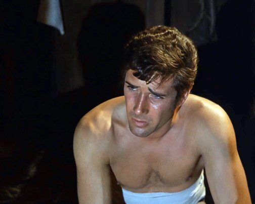 Robert Fuller Laramie Shirtless 8x10 Photo Zrp 35