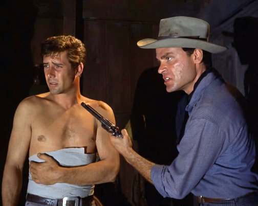 Robert Fuller Laramie Shirtless 8x10 Photo Zrp 40