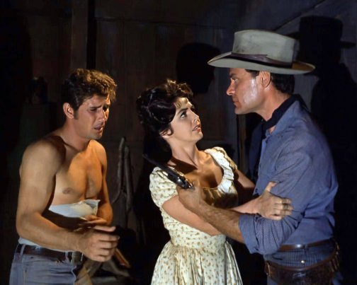 Robert Fuller Laramie Shirtless 8x10 Photo Zrp 41