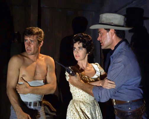 Robert Fuller Laramie Shirtless 8x10 Photo Zrp 42 7434