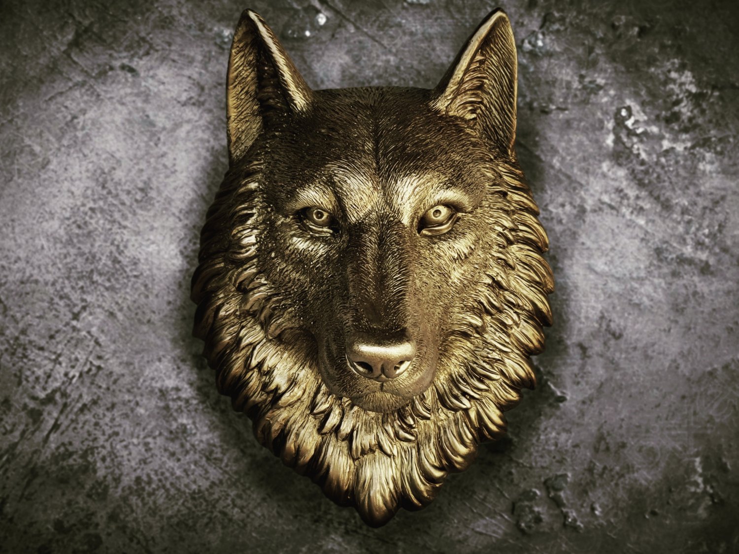 artificial taxidermy wolf head sculpture. Wall mount, wall decor (gold)