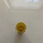 Apollo Valves APXSTP Shower Test Plug, Plastic Used Missing Gasket