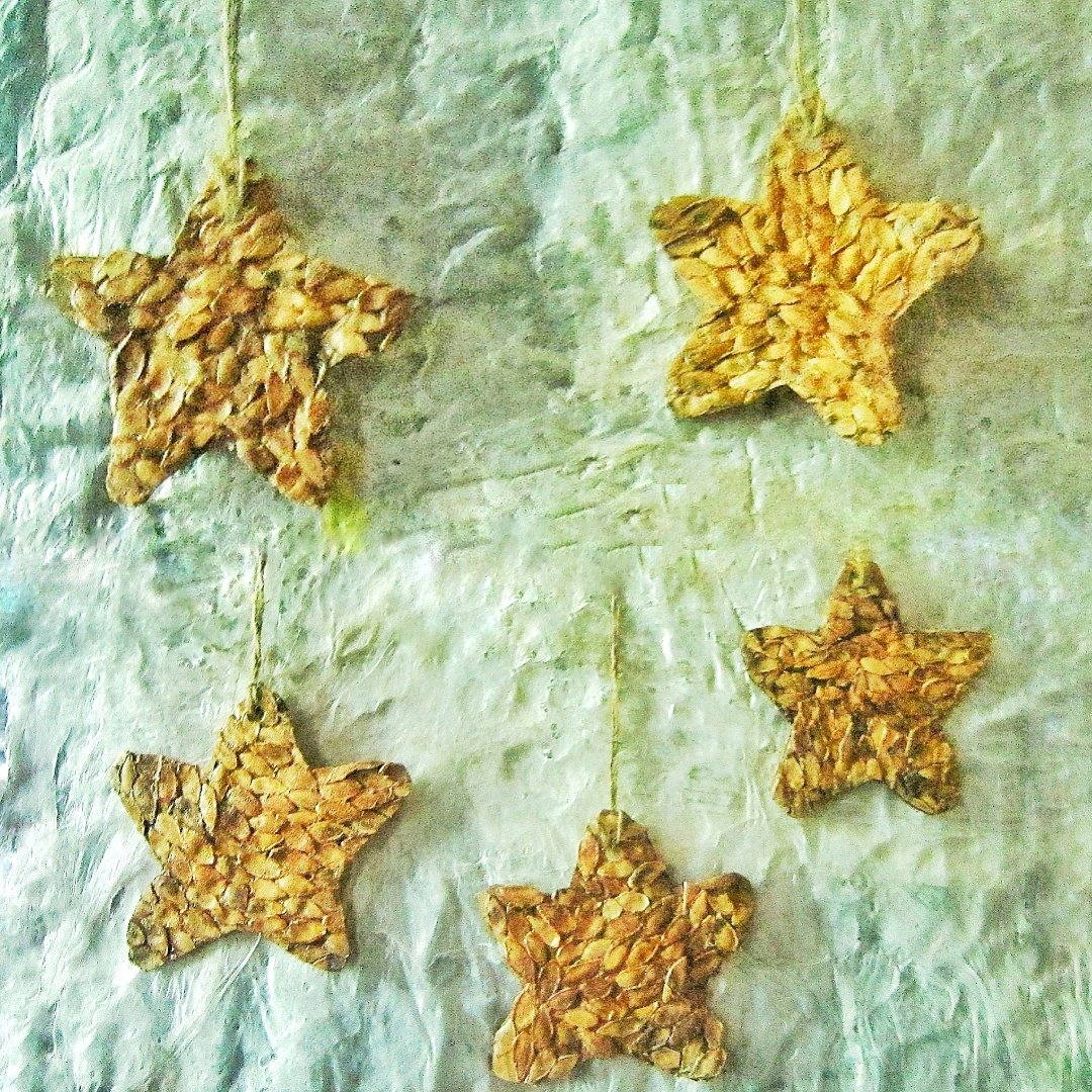 Natural pumpkin seed husk star ornament ,Natural autumn star holiday decor,One set natural star