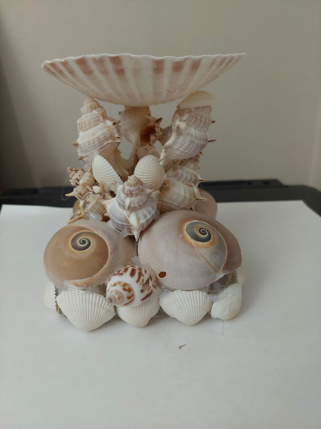Seashell Candle and Holder