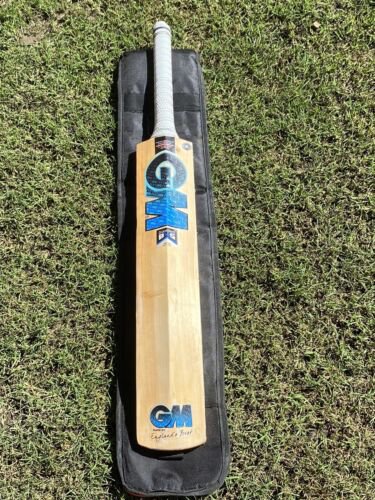 New GM Mana Apex Kashmir Willow Cricket Bat