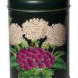 Madam Treacle Midnight Botanicals Set of Three Canisters