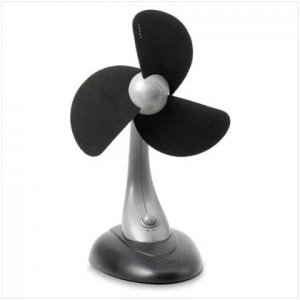 Portable Lighted Fan