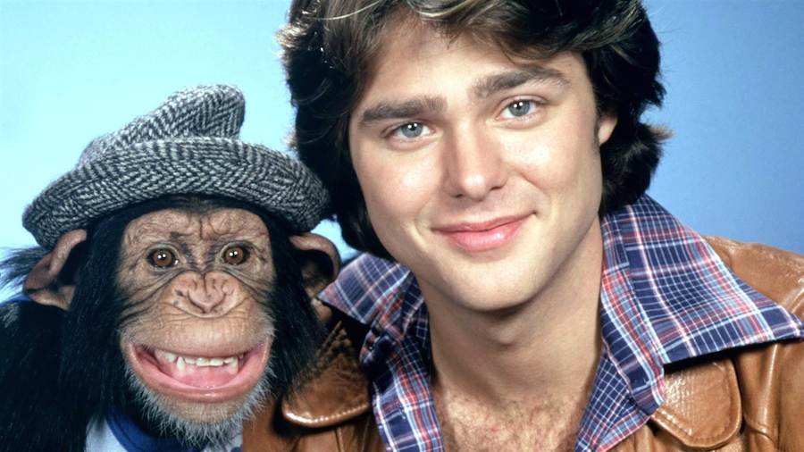 BJ and the Bear DVD