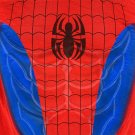 Marvel Islands of Adventure Spider-Man S T-Shirt Unviersal Studios Costume