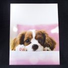 Brown and White Puppy Dog Portfolio Folder  Cute Adorable