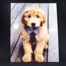 Dog Wearing a Bowtie Puppy Portfolio Folder  Cute Adorable