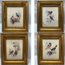 Paul Whitney Hunter Set of 4 Spring Bird Framed Prints Robin Cardinal Stapco NY