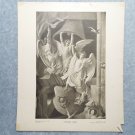 Christmas Chimes 1020 The Perry Pictures 12x10 Art Print Antique Blashfield