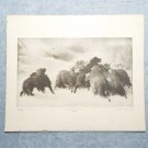 Lost 3200 The Perry Pictures 12x10 Art Print Antique Schenk