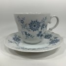 Seltmann Weiden Christina Bavarian Blue Tea Cup and Saucer Bavaria West Germany