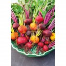 50 Seeds BEETROOT Heirloom Mix AUTUMN WINTER SUMMER SPRING EASY Vegetable Garden #LVGG