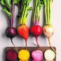 50 Seeds BEETROOT Heirloom Mix AUTUMN WINTER SUMMER SPRING EASY Vegetable Garden #LVGG