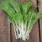 1000+ Seeds *BULK DEAL* BOK CHOY White Stem #LVGG