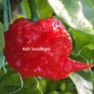10 seeds Carolina Reaper Chilli - Pure Strain World's Hottest #LVGG