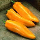 CAPSICUM - Marconi Golden seeds HEIRLOOM vegetable garden SPRING SUMMER easy