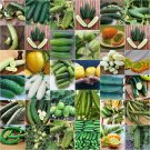 #LVGG CUCUMBER -  Mix seeds ALL TYPES vegetable garden SPRING SUMMER non-gmo