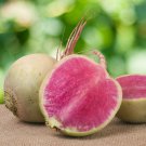 HEIRLOOM vegetable garden AUTUMN WINTER SPRING SUMMER RADISH WATERMWLON 50 SEEDS