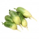 Chinese Green Meat Luobo seeds Happy Valley Seeds Happy, RADISH 70 seeds #LVGG