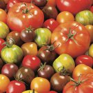 Mix 40 Seeds ALL TYPES MIXED spring summer vegetable garden RARE TOMATO HEIRLOM #LVGG