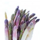 selling ARGENTEUIL ASPARAGUS SEEDS contains 25 seeds #LVGG