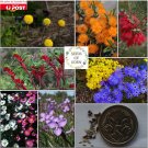 40 SEEDS OF AUSTRALIAN ORIGINAL FLOWER MIXED; Different and beautiful flower variations #LVGG