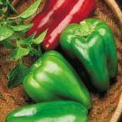 5X Plant GIANT BELL CAPSICUM Seeds Vegetable Plant Seeds For Garden #ctlia