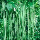 3X Seeds Snake Beens Long Vegetable Seeds Plant For Your Home Garden