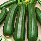 5X Seeds Zucchini Greenskin Vegetable Seeds Plant For Your Home Garden