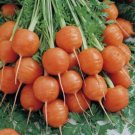 50X Seeds Carrot Paris Market Vegetable Seeds Plant For Your Home Garden