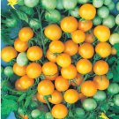 10X Seeds Yellow Cherry Honey Bee Tomato Vegetable Seeds Plant For Your Home Garden