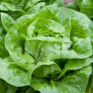 30X Seeds LETTUCE MIGNONETTE Vegetable Seeds Plant For Your Home Garden