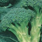 50X Seeds TALIAN SPROUTING BROCCOLI Vegetable Seeds Plant For Your Home Garden