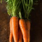 30X Seeds Carrot Kuroda Vegetable Seeds Plant For Your Home Garden
