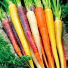 30X Seeds Colour Mix Rainbow Blend Carrot Vegetable Seeds Plant For Your Home Garden