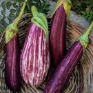 10X Seeds EGGPLANT Greek Tsakoniki Seeds white purple Vegetable Seeds Plant For Your Home Garden