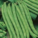 10gm Seeds BROWN BEAUTY DWARF Bean Vegetable Seeds Plant For Your Home Garden