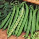 10gm Seeds LONG POD Beans Vegetable Seeds Plant For Your Home Garden