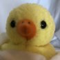 EGGBERT TY Beanie Baby Plush Stuffed Animal Rare Mint Tag With 3 Errors