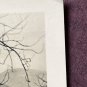 General Walton H. Walker Hotel - Pre 1950s? Berchtesgaden, Germany Unused