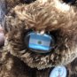 Champion the Bear Ty Beanie Baby FIFA World Cup Argentina Bear 2002 13&acirc;�� CLEAN